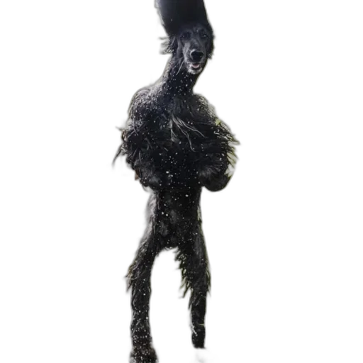 hair, creature, staff, mask transparent PNG cut-out