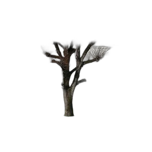 tree, crown, staff, furniture transparent PNG cut-out