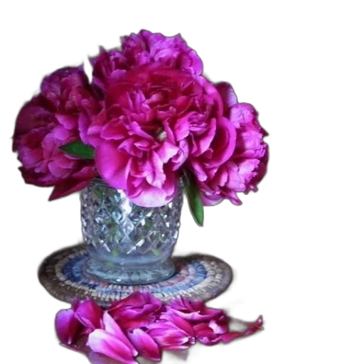 crown, flower, jewelry, hat transparent PNG cut-out