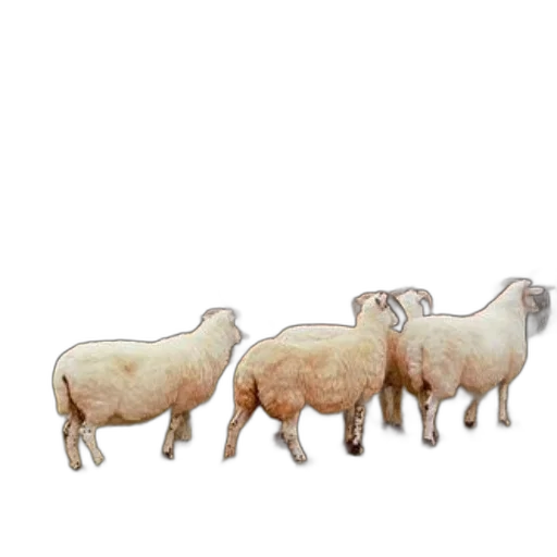 animal, food, 3d render, pixel art transparent PNG cut-out