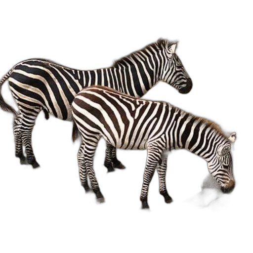animal, creature, furniture, jewelry transparent PNG cut-out