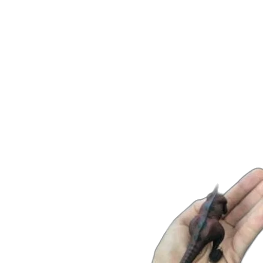 weapon, hair, jewelry, staff transparent PNG cut-out