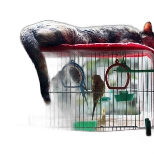 animal, furniture, creature, dragon transparent PNG cut-out