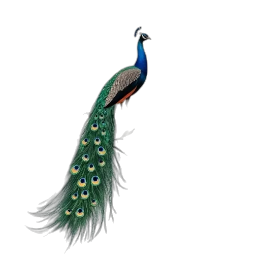 animal, jewelry, staff, creature transparent PNG cut-out