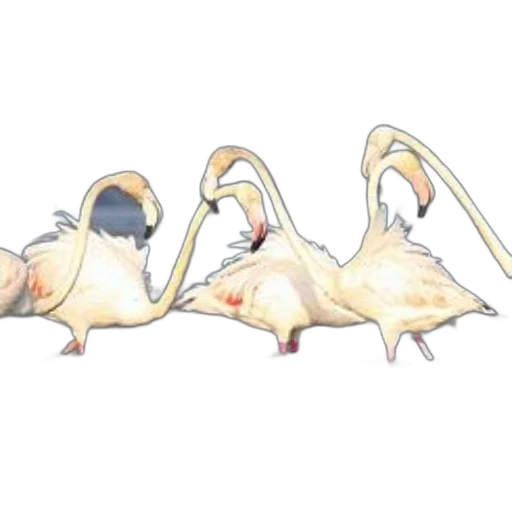 animal, dragon, creature, concept art transparent PNG cut-out