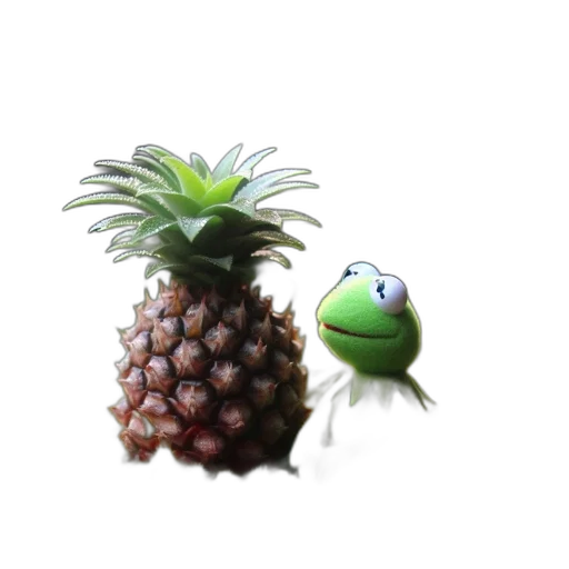 creature, animal, crown, food transparent PNG cut-out