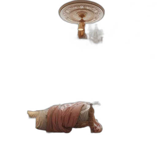 furniture, jewelry, animal, creature transparent PNG cut-out