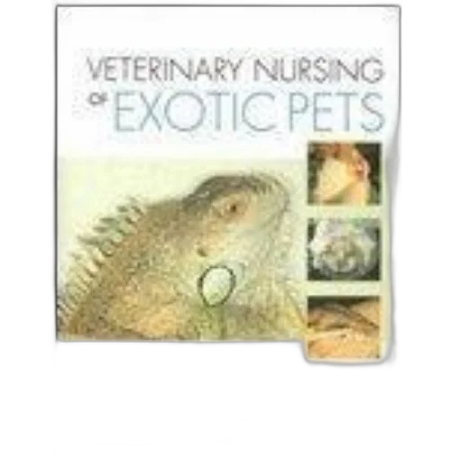 cover, veterinary, nursing, exotic transparent PNG cut-out