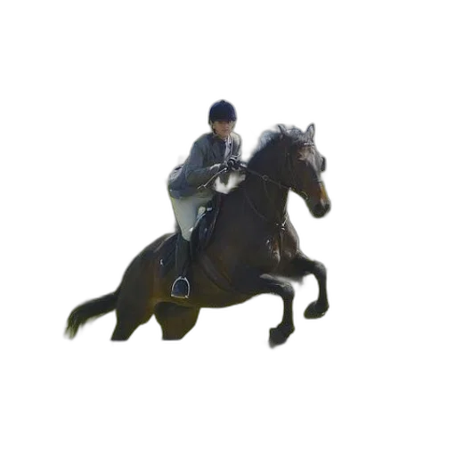 animal, staff, jacket, photorealistic transparent PNG cut-out