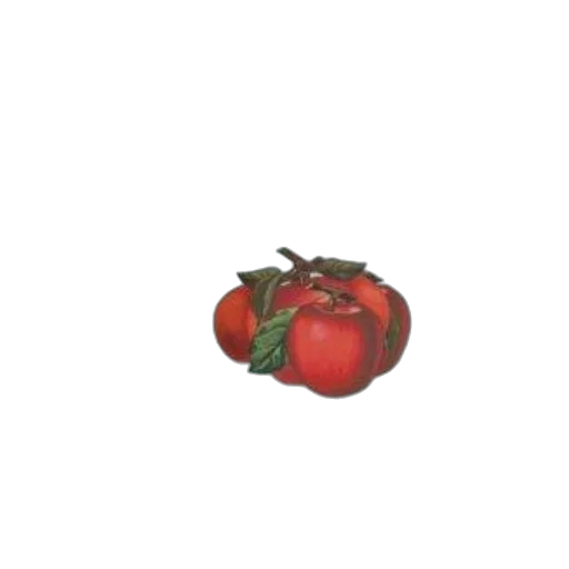 food, crown, weapon, flower transparent PNG cut-out