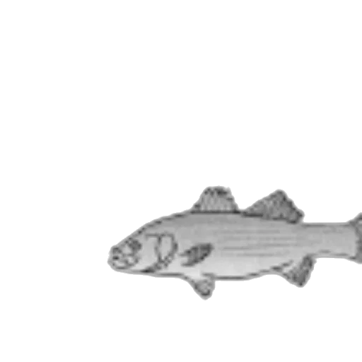 animal, staff, creature, weapon transparent PNG cut-out