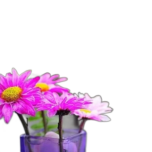 flower, crown, jewelry, bottle transparent PNG cut-out