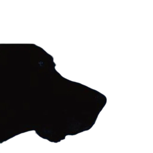 animal, staff, face, crown transparent PNG cut-out