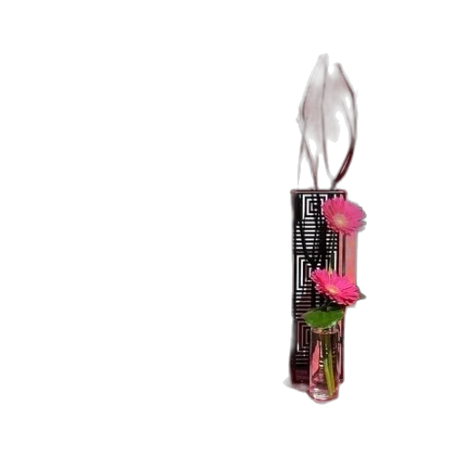 jewelry, staff, umbrella, weapon transparent PNG cut-out