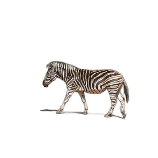 animal, creature, furniture, jewelry transparent PNG cut-out