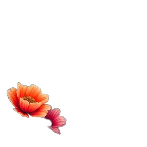 flower, crown, jewelry, weapon transparent PNG cut-out