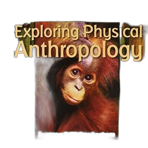 animal, cover, exploring, physical transparent PNG cut-out