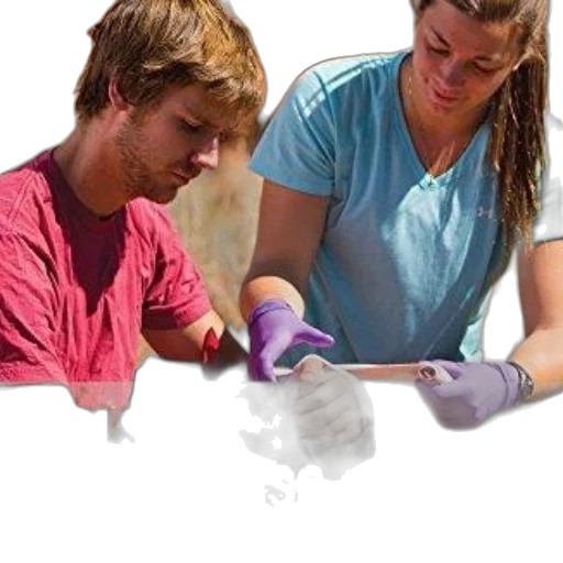 staff, image, cover, nols transparent PNG cut-out