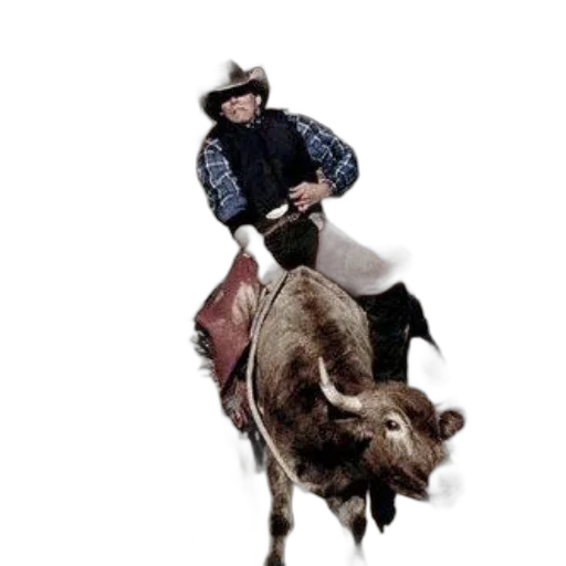 animal, poster, chasing, rodeo transparent PNG cut-out