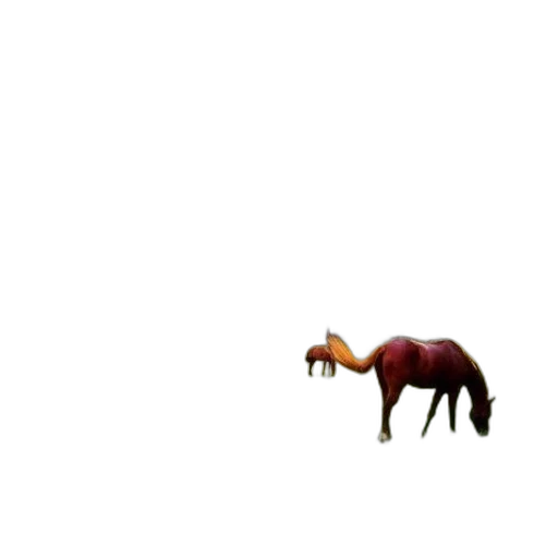 animal, creature, dragon, furniture transparent PNG cut-out