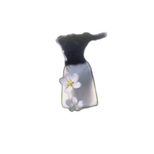 dress, flower, crown, jewelry transparent PNG cut-out