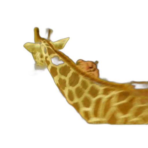 animal, creature, shoes, crown transparent PNG cut-out