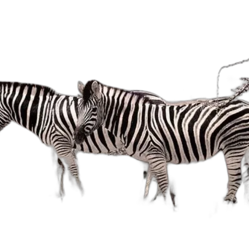 animal, creature, jewelry, staff transparent PNG cut-out