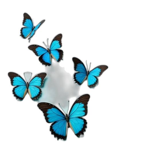 jewelry, crown, animal, flower transparent PNG cut-out