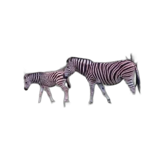 animal, creature, furniture, 3d render transparent PNG cut-out