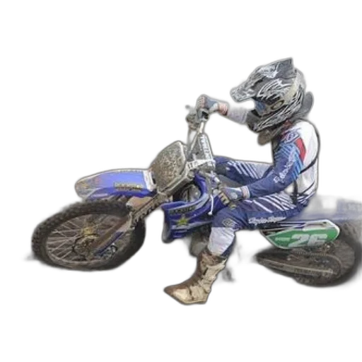 animal, concept art, photorealistic, 3d render transparent PNG cut-out