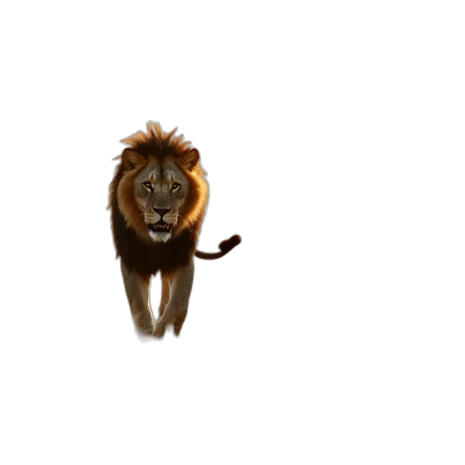 animal, creature, crown, staff transparent PNG cut-out