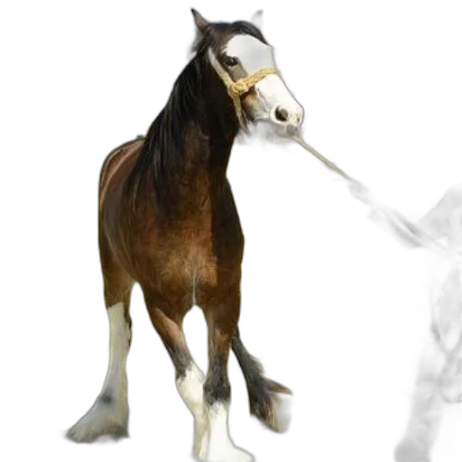 staff, animal, weapon, creature transparent PNG cut-out
