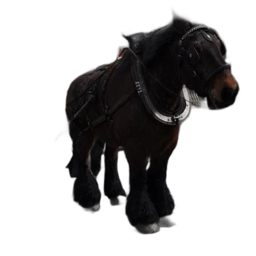 animal, staff, jewelry, creature transparent PNG cut-out