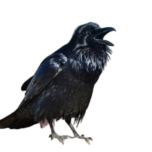 animal, creature, crown, staff transparent PNG cut-out