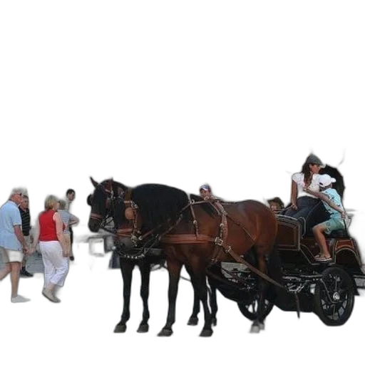 car, animal, staff, hat transparent PNG cut-out