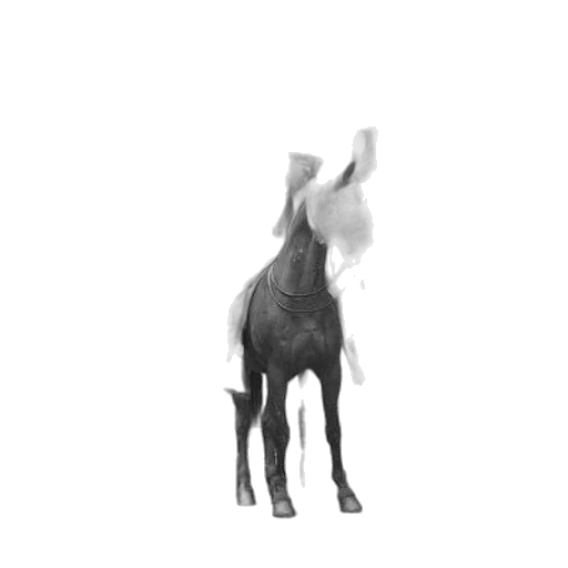 animal, creature, dragon, hat transparent PNG cut-out