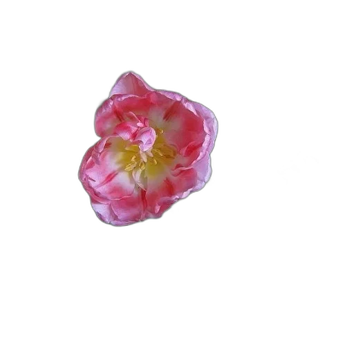 flower, jewelry, crown, staff transparent PNG cut-out