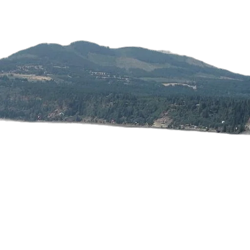 sword, staff, tree, hat transparent PNG cut-out