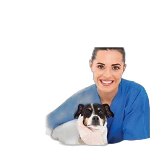 staff, animal, face, umbrella transparent PNG cut-out