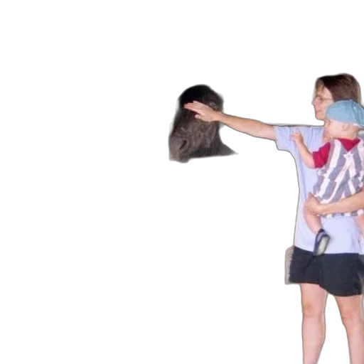 hair, mask, weapon, staff transparent PNG cut-out