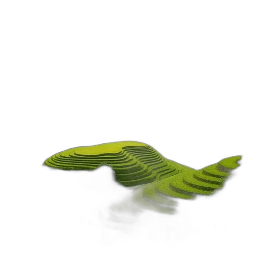 animal, shoes, dragon, creature transparent PNG cut-out
