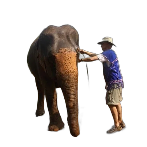 animal, staff, umbrella, hat transparent PNG cut-out