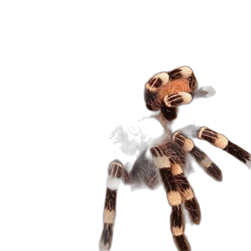 robot, creature, animal, mask transparent PNG cut-out