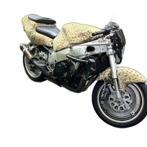 3d render, photorealistic, concept art, earth tones transparent PNG cut-out