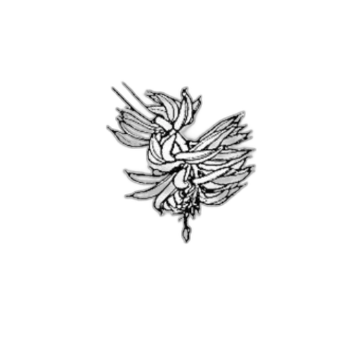 jewelry, crown, dragon, staff transparent PNG cut-out