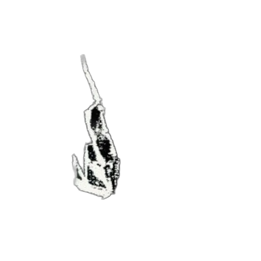 jewelry, crown, staff, shoes transparent PNG cut-out