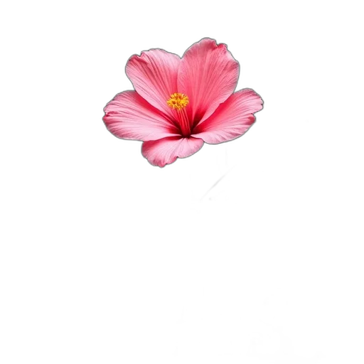 flower, crown, jewelry, staff transparent PNG cut-out