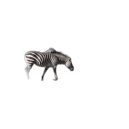animal, creature, furniture, jewelry transparent PNG cut-out