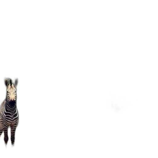 animal, creature, hair, shoes transparent PNG cut-out