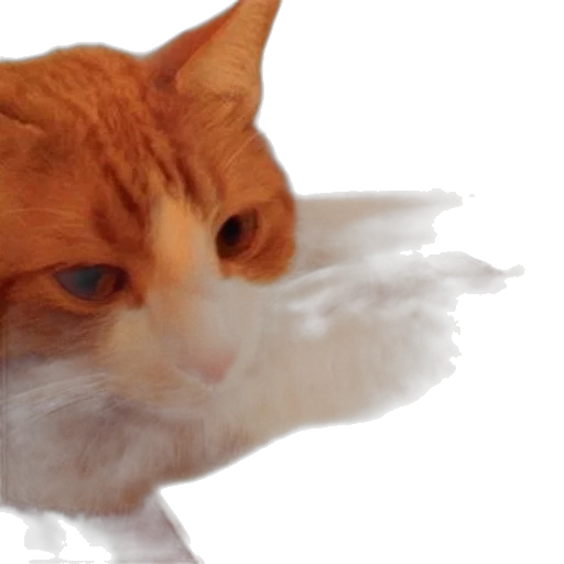 animal, creature, staff, face transparent PNG cut-out